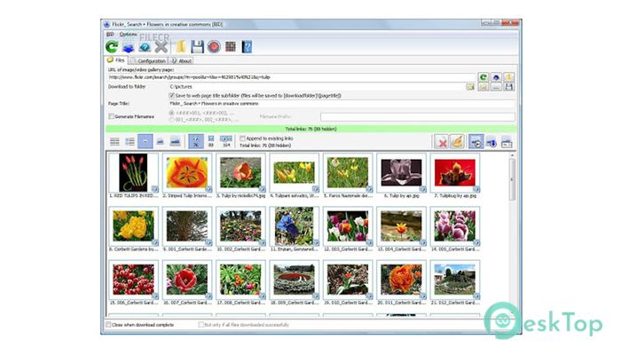 Download Bulk Image Downloader  6.60 Free Full Activated