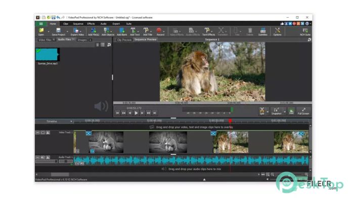 Download NCH VideoPad Pro  17.51 Free Full Activated