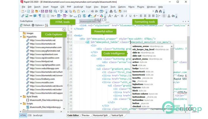 Download Blumentals Rapid CSS 2025 v18.4.0.272 Free Full Activated
